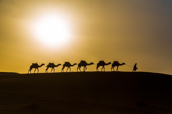 Sahara desert tours