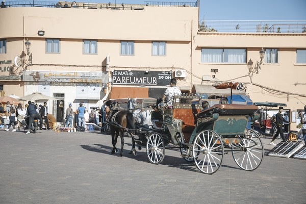 7 days Tangier Marrakech desert trip