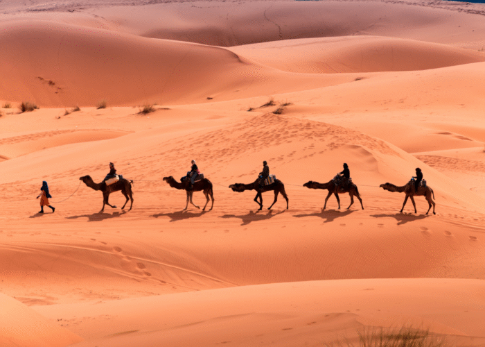 2 Days desert tour from Marrakech to Fes