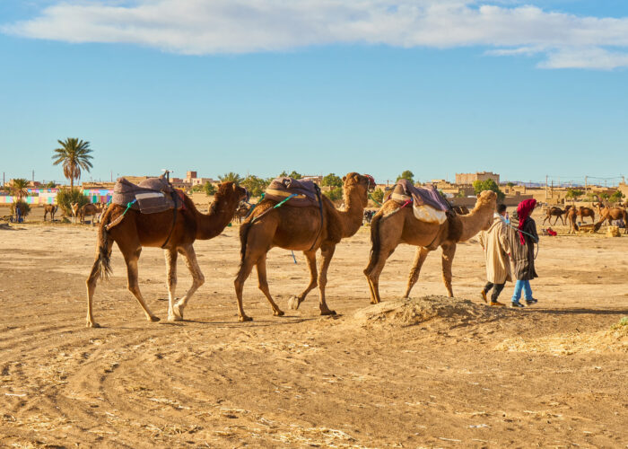 4 Days desert tour from Marrakech to Fes