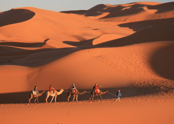 2 Day Desert Tour from Fes to Marrakech
